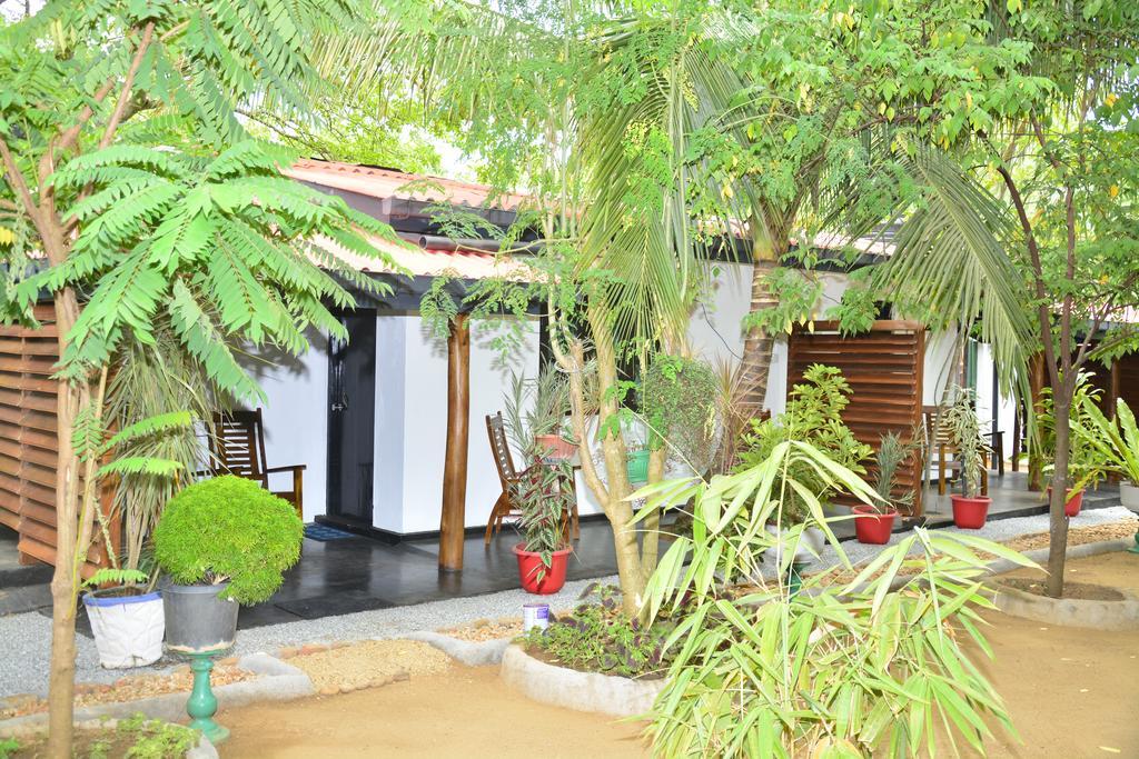 Livinginn Polonnaruwa Exteriér fotografie