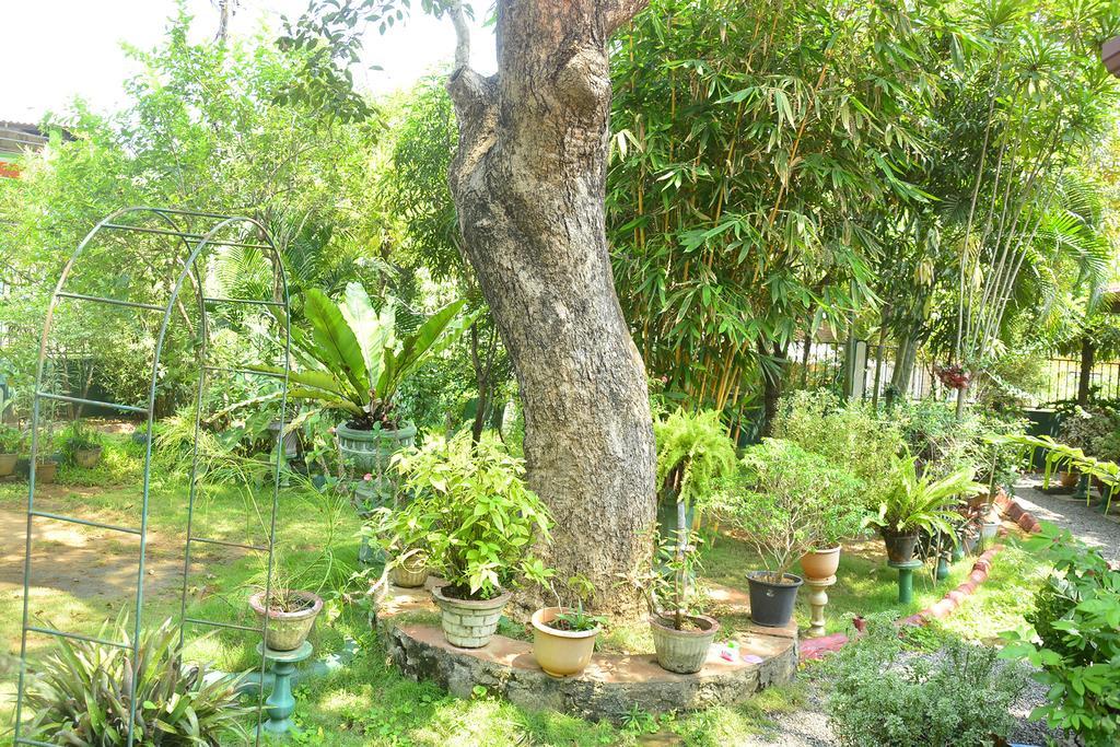 Livinginn Polonnaruwa Exteriér fotografie