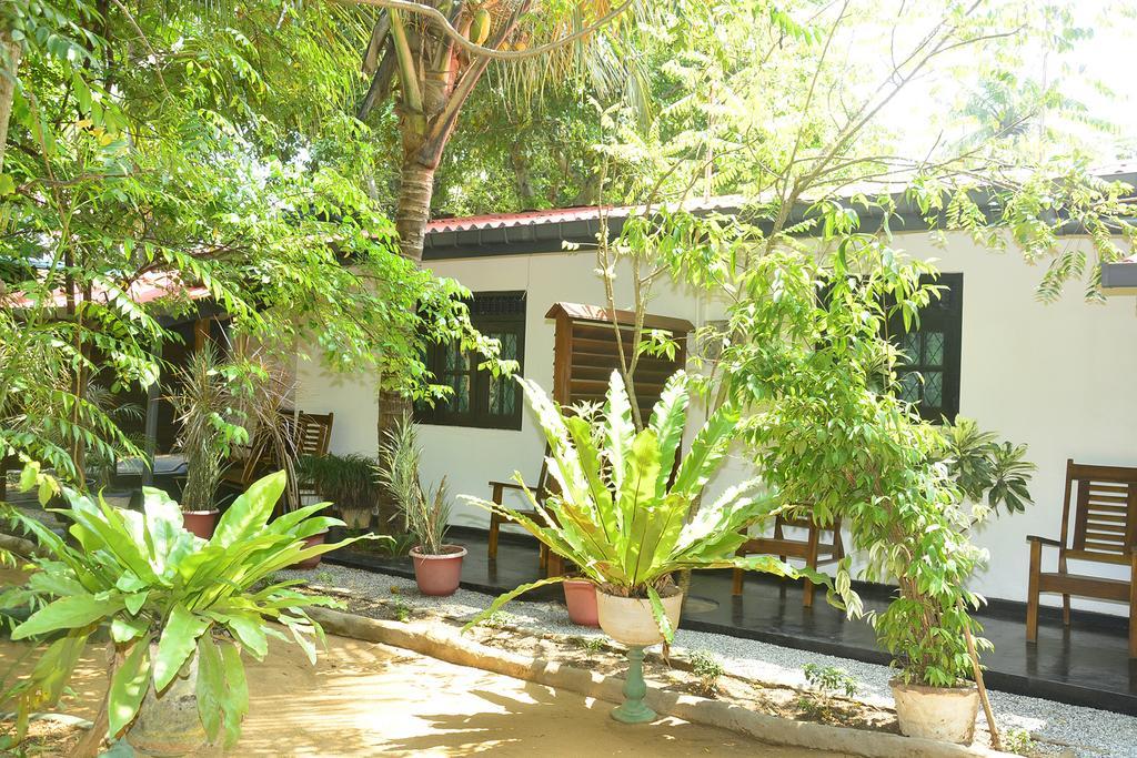 Livinginn Polonnaruwa Exteriér fotografie