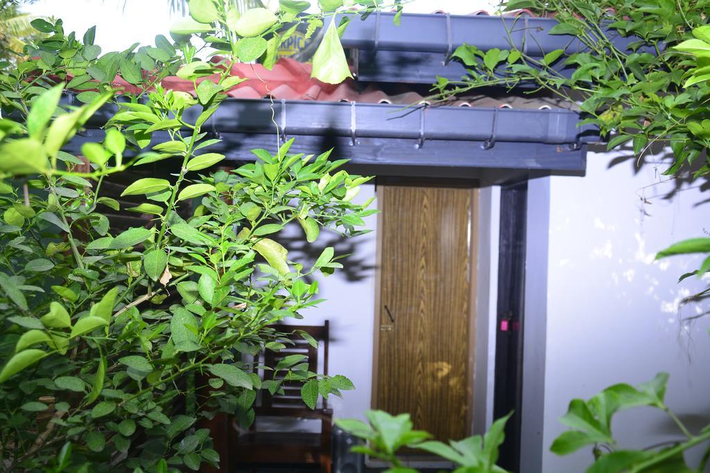 Livinginn Polonnaruwa Exteriér fotografie
