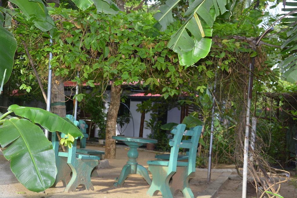 Livinginn Polonnaruwa Exteriér fotografie